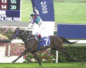 Champion Karaka Graduate Vengeance Of Rain (NZ) Victorious in the 2005 G1 Hong Kong Cup.